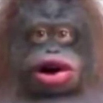 UweUeberdruck67's Avatar'