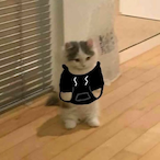 Sirpancakeman's Avatar'