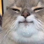 happy_chonk's Avatar'