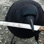 KingCrowIII's Avatar'