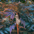 Grostotox's Avatar'