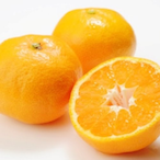 KO_MANDARIN's Avatar'