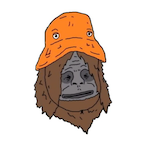 Gatorbuggy_'s Avatar'