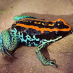 HeavenOnEntry's Avatar'