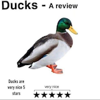 QuackTheDuck69's Avatar'