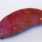 pingpongbazooka's Avatar'