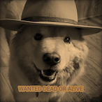DortyDub's Avatar'