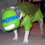 GlizzyWithBrim's Avatar'