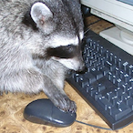 Anthonyzzzzzzz's Avatar'