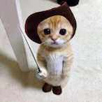 Chaos_austin's Avatar