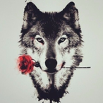 SPKxLoneWolf117's Avatar