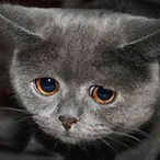 Luna.u's Avatar'
