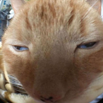 MrMcBadBoi8257's Avatar'