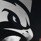 phoenixstar..'s Avatar'