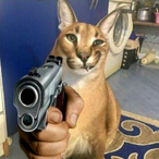 Misa_gunnz's Avatar'