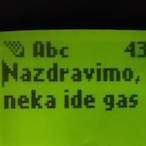 Goli_avocado's Avatar'
