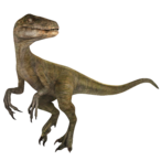AnActualRaptor's Avatar'