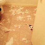 Strangereligion's Avatar