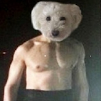garcos's Avatar'