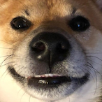 come_dumpster.'s Avatar'