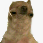 SubitoGor's Avatar'