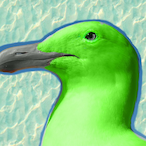 KeyDrTrident's Avatar'