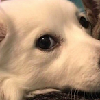 Rickatron67's Avatar'