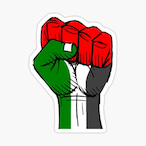 syrianboy991's Avatar'