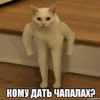 Chapalashnik's Avatar'