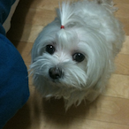 IKeskinBicakI's Avatar'