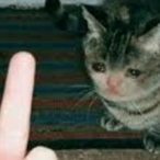 Wckdthgts's Avatar'