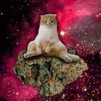 CuteMaleGamer's Avatar'