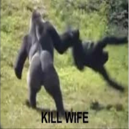 wifefightback