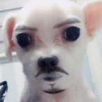 MINJU_HUSBAND's Avatar'