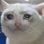 s-_-muel_-_'s Avatar'