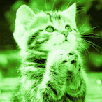 WilllyT's Avatar'