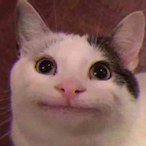 HighLordNox's Avatar'