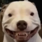 XGOD0ZILLAX's Avatar