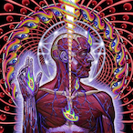 Iudovica's Avatar'