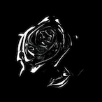 RoseFoZs's Avatar'