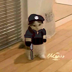 Angel_NSquad's Avatar'