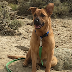 CursingCloud704's Avatar'