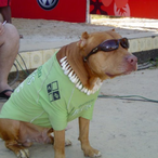 tiagol_reis's Avatar