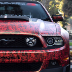 Shelbycat24's Avatar'