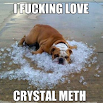 CrystaIMeth.mg's Avatar'