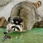 Raccpootin's Avatar'