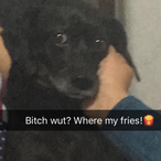 FallensSmurf's Avatar'