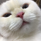 kalikalytes's Avatar'