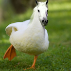 SteveDulton's Avatar'