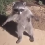 ThatSnowmann's Avatar'